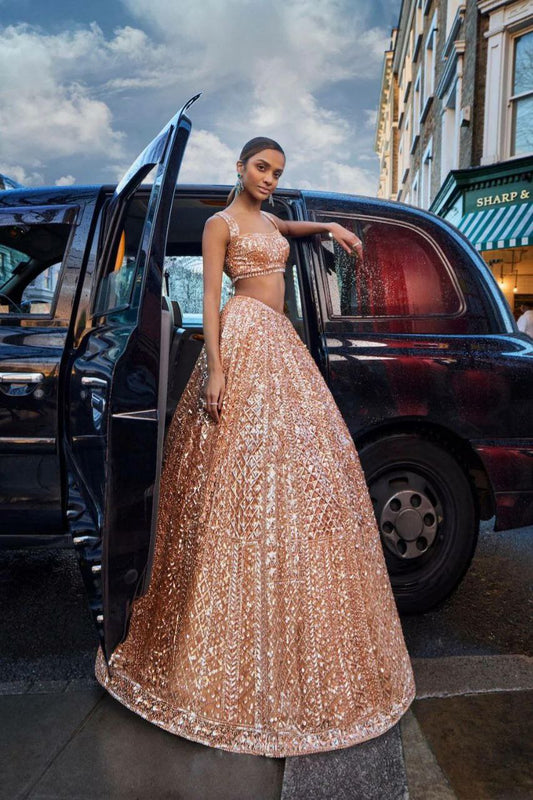 Net With Rainbow Sequins & Dori Work With Tassels Border & Can Can Attach Lehenga Choli