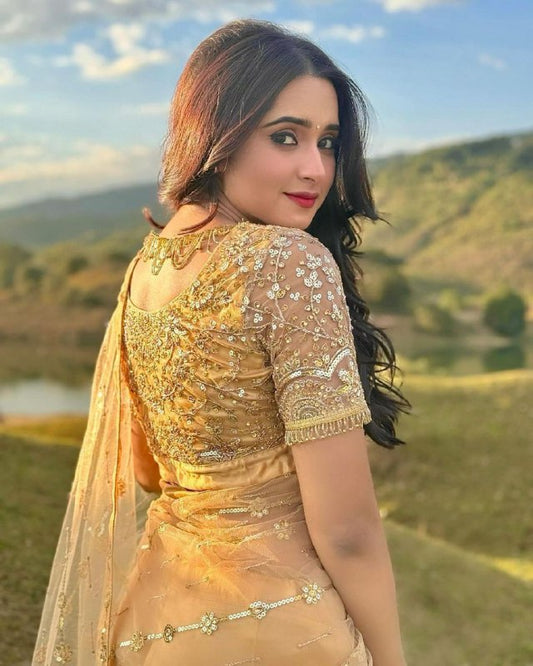 BEAUTIFUL SOFT NET BEIGE SAREE