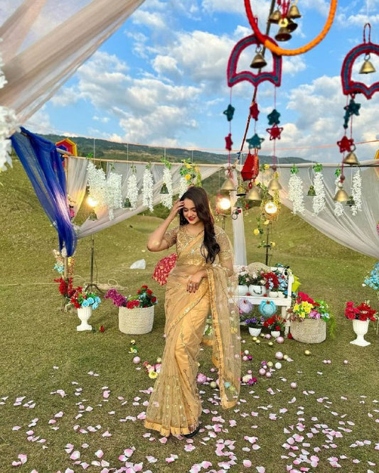 BEAUTIFUL SOFT NET BEIGE SAREE