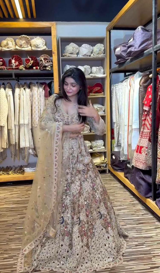 Premium Quality Soft Net & Coding Sequins Work With Lining Blouse With Cancan & Canvas Patta Lehenga Choli