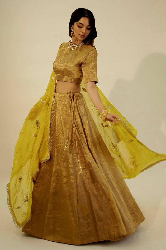 Banarasi Zari Silk With Sequins & Dori Work Plus Jhalar Border Work & Can Can Attach Lehenga Choli