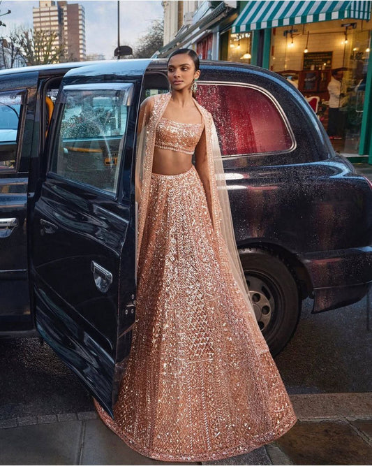 Net With Rainbow Sequins & Dori Work With Tassels Border & Can Can Attach Lehenga Choli