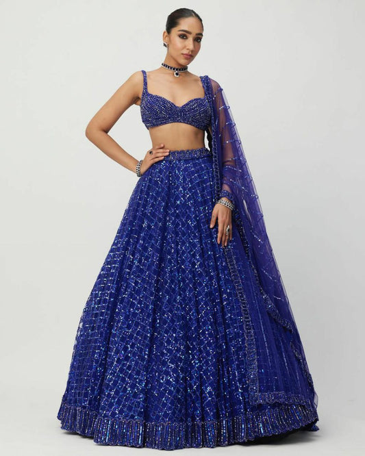 Premium Butterfly Net With Beautiful Heavy Jari Work With Heavy Rainbow Dual Sequins Work With Heavy Cancan And Canvas Lehenga Choli