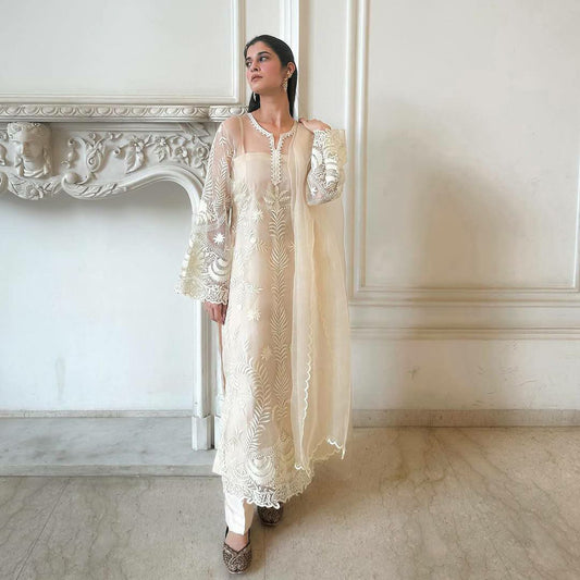 HEAVY SOFT NET AND EMBROIDERY WORK WITH CUT WORK FANCY WORK SLEEVES TYPE DRESS
