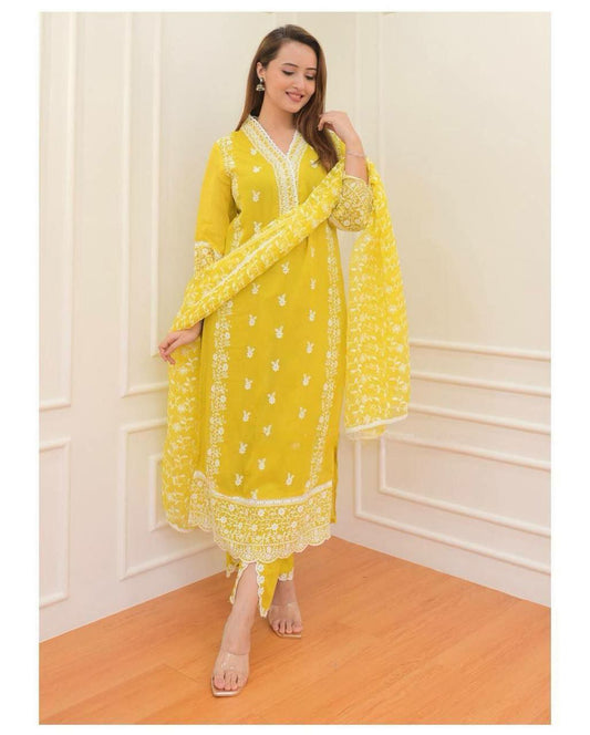Embroidered sleeves and bottom adding an extra touch of elegance, making it ideal for any festive celebration