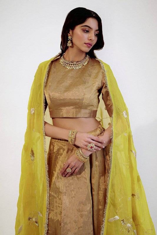 Banarasi Zari Silk With Sequins & Dori Work Plus Jhalar Border Work & Can Can Attach Lehenga Choli