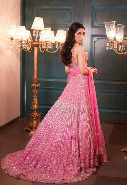 Premium Net Lehenga Embellished With Embroidery ,Dori Work, With Beautiful Heavy Rainbow Sequins Work Lehenga Choli