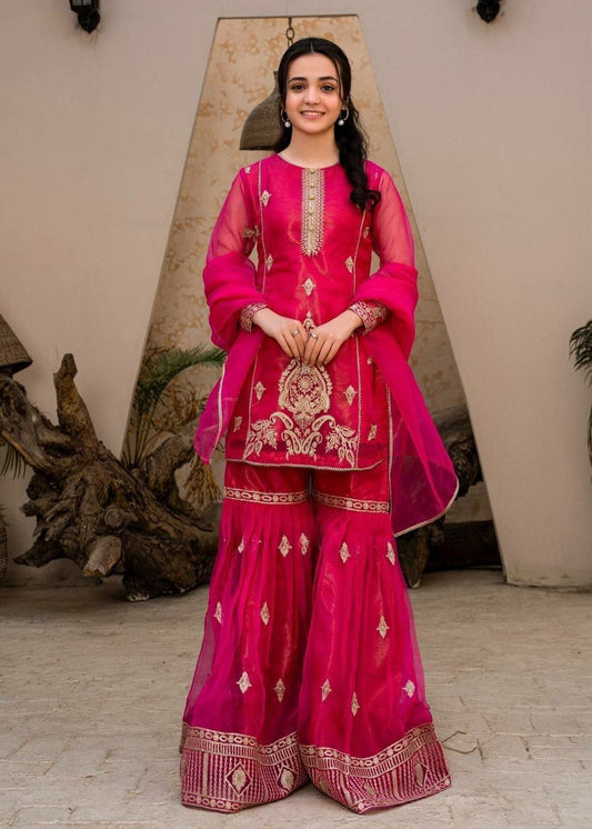 Diamond Georgette With Embroidery Sequence Work & Organza Silk Dupatta Type Top & Palazzo Dress