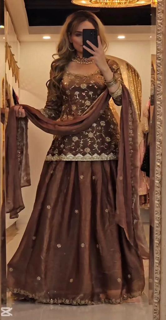 Heavy Fandy Silk And Sequence Work & Multi Needle Embroidery Work & Zari Work With Fancy Border Work Top & Lehenga