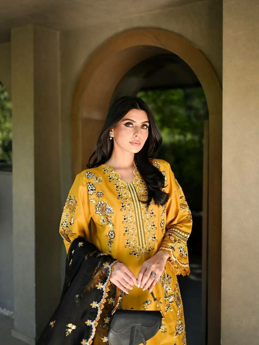 plazzo And Kurti