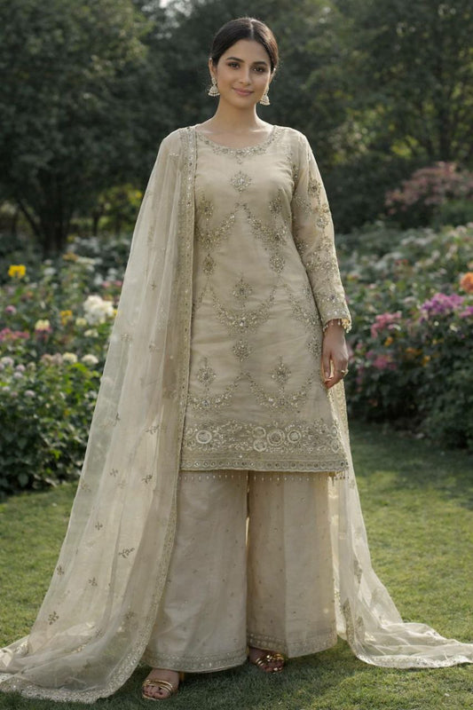 PURE PREMIUM KUNDAN ORGANZA  BEAUTIFUL EMBROIDERY SEQUENCE WORK WITH READY MADE LACE BORDER