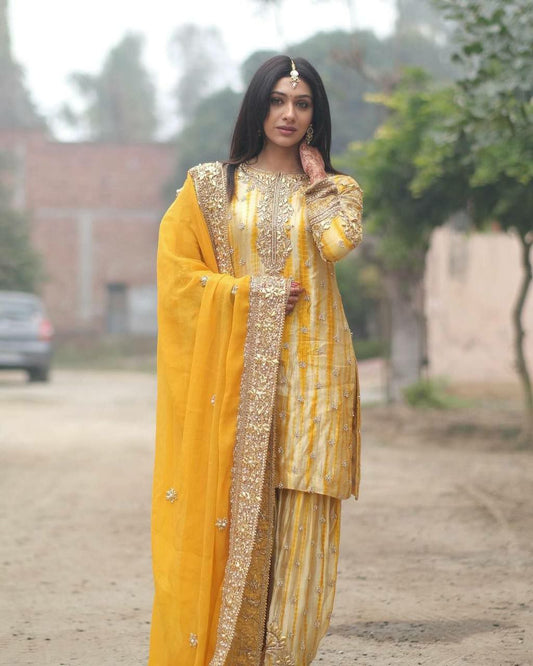 Pure Chinnon Silk With Digital Print and Heavy Embroidery Sequence Work With Real Mirror Work And Full Sleeve  Patiyala
